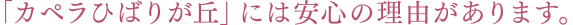 「カペラひばりが丘」には安心の理由があります。