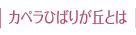 カペラひばりが丘とは