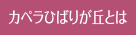 カペラひばりが丘とは